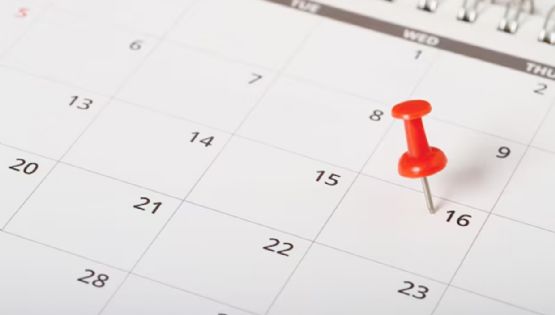 Qué días caen los feriados de junio 2025