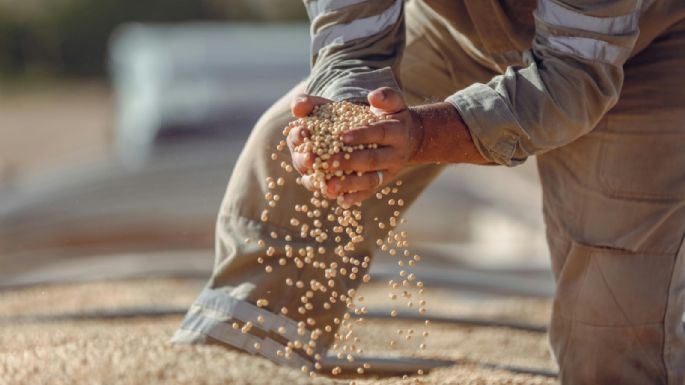 El campo aportó más dólares, pese a la baja de retenciones