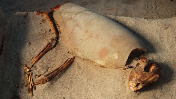 Descubrimiento que revela el amor por las mascotas en la Antigüedad