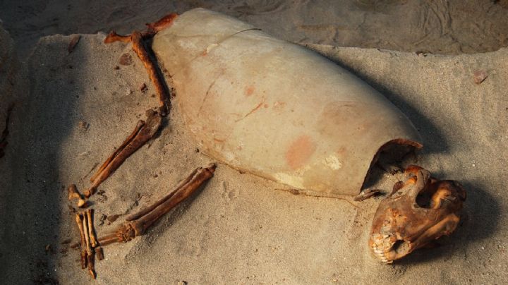 Descubrimiento que revela el amor por las mascotas en la Antigüedad