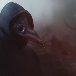 Peste negra: un nuevo estudio que reescribe la historia