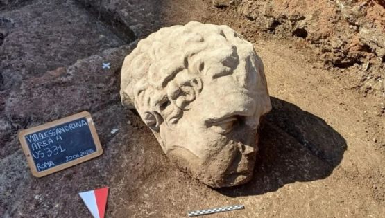 Encontraron una "colosal" cabeza de mármol en Roma