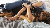 Foto ilustrativa de la nota titulada: Cómo dormir con mascotas puede ayudarte a combatir el insomnio
