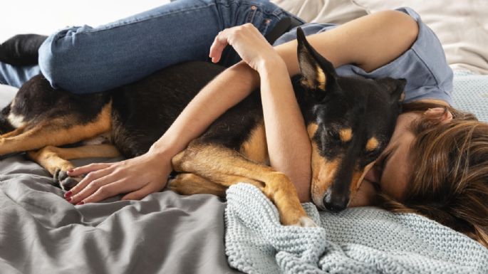 Cómo dormir con mascotas puede ayudarte a combatir el insomnio