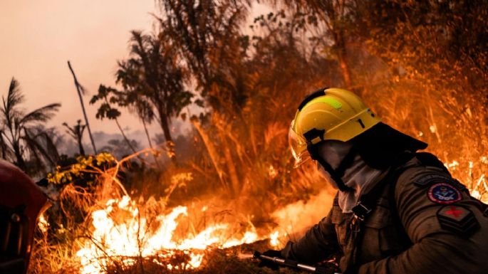 Brasil registró un récord histórico de incendios forestales en 2024