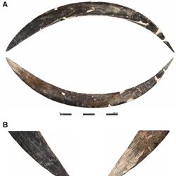 El bumerán de 40.000 años que abre miles de incógnitas