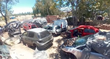 Desarmaderos: cambios en la ley y menos trámites