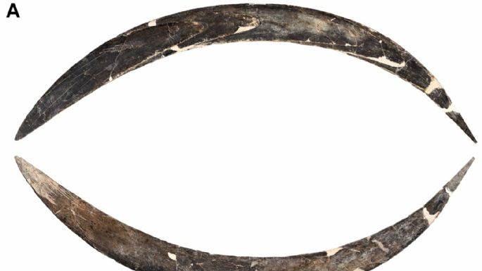 El bumerán de 40.000 años que abre miles de incógnitas