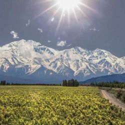 Inspectores de Cauce: “La autorización de pozos es sospechosa”