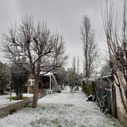 Nieve en Mendoza: así está la provincia