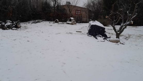 La DGE suspendió las clases en toda la provincia