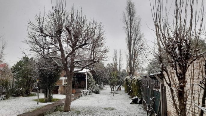 Nieve en Mendoza: así está la provincia