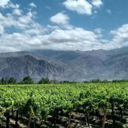 Del interior productivo se extrajeron U$S 200 mil millones