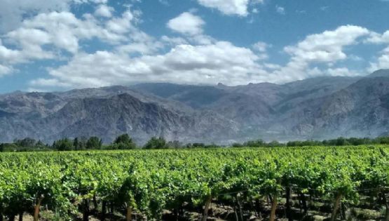 Del interior productivo se extrajeron U$S 200 mil millones