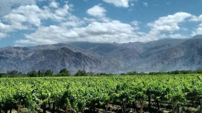 Del interior productivo se extrajeron U$S 200 mil millones