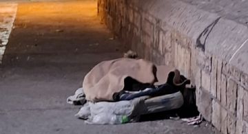 Nadie responde en los teléfonos de Gobierno por la gente de la calle