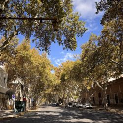 Sube la temperatura pero las mañanas seguirán muy frías
