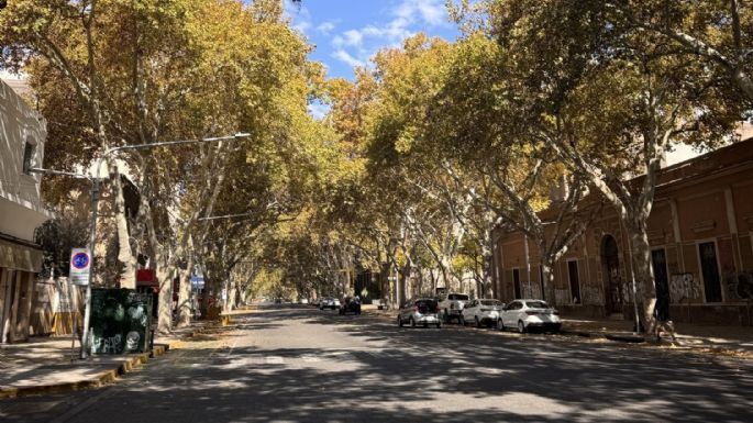 Sube la temperatura pero las mañanas seguirán muy frías