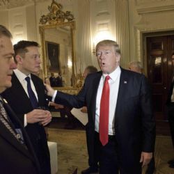 Los entretelones de la guerra entre Trump y Musk