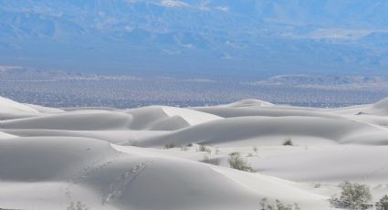 El "Sahara argentino": el destino oculto del norte