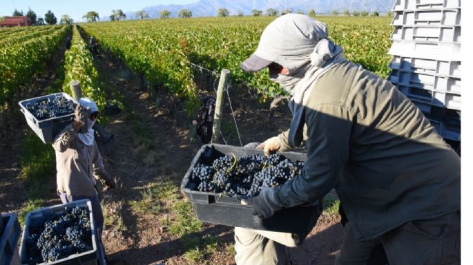 El presidente de Fecovita fue elegido para dirigir el Foro Mundial de Cooperativas Vitivinícolas