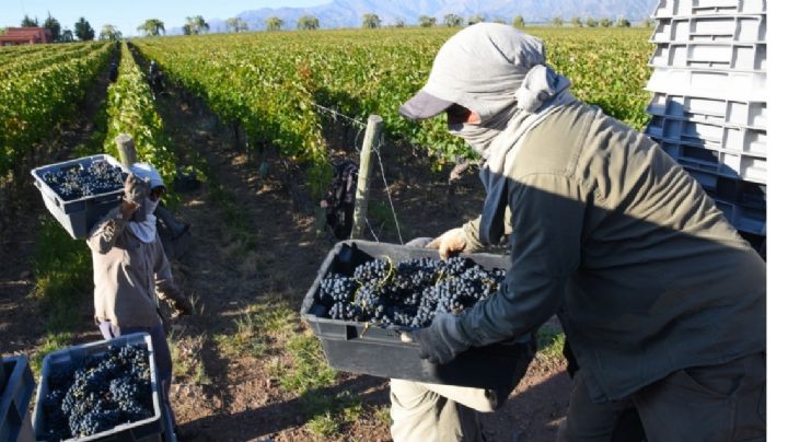 La vitivinicultura en jaque: pocas ventas y cortes en las cadenas de pago