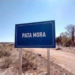 Mendoza lanza concurso público para avanzar en el Polo Logístico en el sur