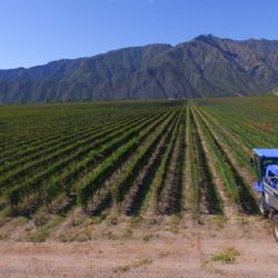 Impuesto inmobiliario: algunas propiedades rurales pasarán a pagar tres veces más en 2026