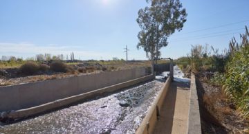 Irrigación prohibió regar cultivos en Lavalle por el Pescara