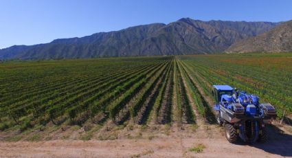 Impuesto inmobiliario: algunas propiedades rurales pasarán a pagar tres veces más en 2026