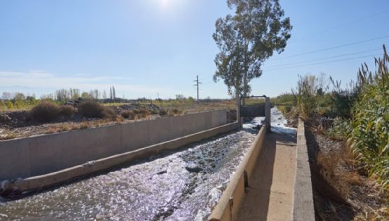 Irrigación prohibió regar cultivos en Lavalle por el Pescara