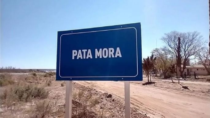 Mendoza lanza concurso público para avanzar en el Polo Logístico en el sur