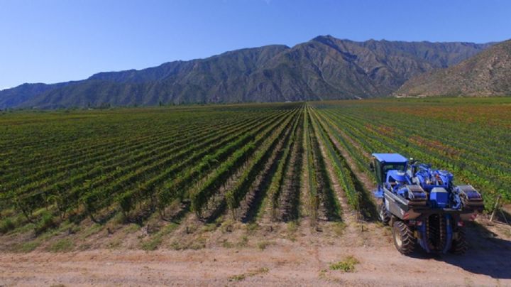 Impuesto inmobiliario: algunas propiedades rurales pasarán a pagar tres veces más en 2026