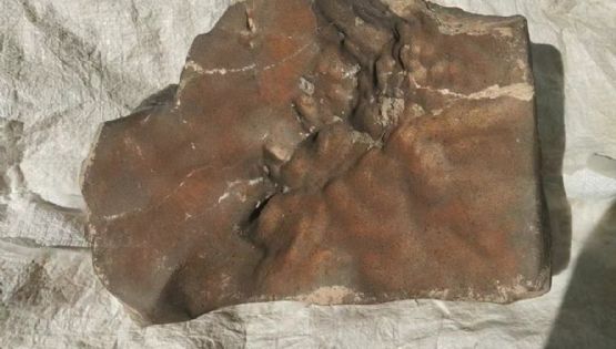 El mayor meteorito de Marte en la Tierra sale a subasta