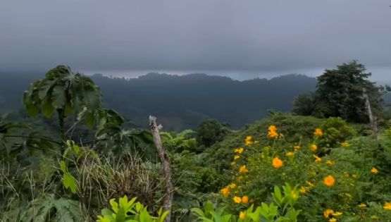 La Ciudad Perdida de Colombia: una joya arqueológica