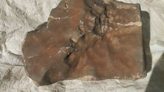 El mayor meteorito de Marte en la Tierra sale a subasta