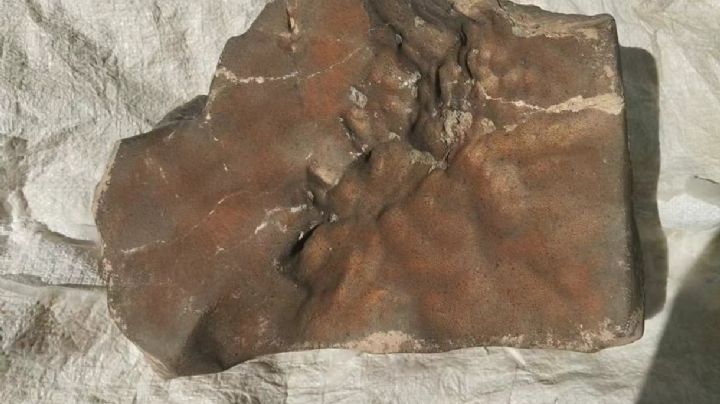 El mayor meteorito de Marte en la Tierra sale a subasta