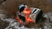 Foto ilustrativa de la nota titulada: Cinco ideas para reutilizar las cenizas del asado 