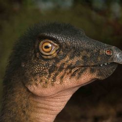 Descubren huesos de dinosaurio bajo un estacionamiento