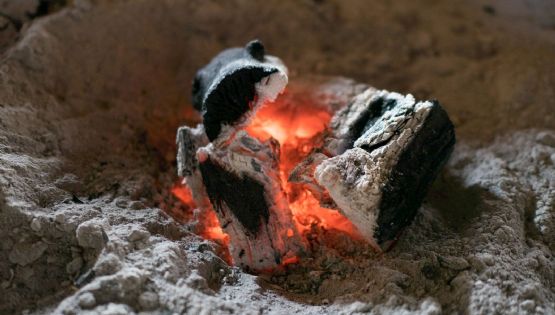 Cinco ideas para reutilizar las cenizas del asado 