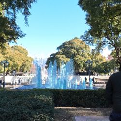 Jueves soleado y con temperaturas en aumento