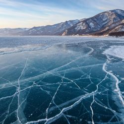 El extraordinario hallazgo realizado en Siberia