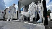 Foto ilustrativa de la nota titulada: Ucrania y Rusia intercambian más de mil cuerpos de soldados caídos