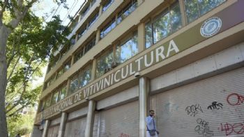 El Gobierno flexibilizó los controles en la industria vitivinícola: derogan más de 900 normas