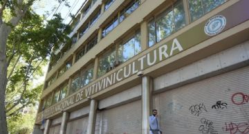 Desregulación del vino: ¿modernización o renuncia estratégica?