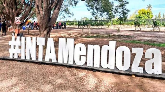 Los incalculables costos de desmantelar el Estado