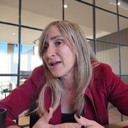 "Luis Petri sería una alternativa diferenciada de Cornejo y muy competitiva"