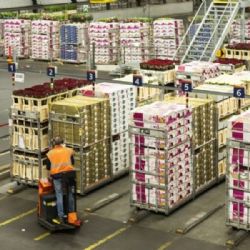 Con leve baja mensual, la actividad económica subió 5% interanual en mayo