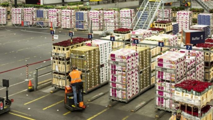 Con leve baja mensual, la actividad económica subió 5% interanual en mayo