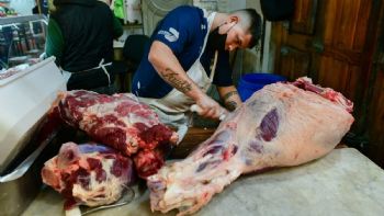 Afirman que el precio de la carne seguirá en alza